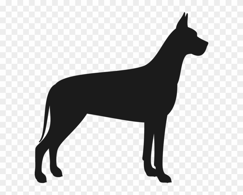 840x672 Dog Vector Royalty Free Library Techflourish Collections