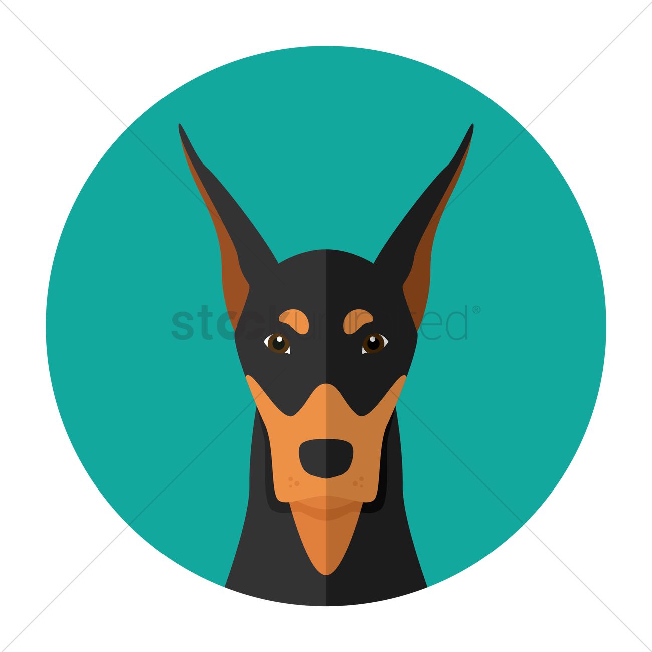1300x1300 Free Doberman Dog Vector Image