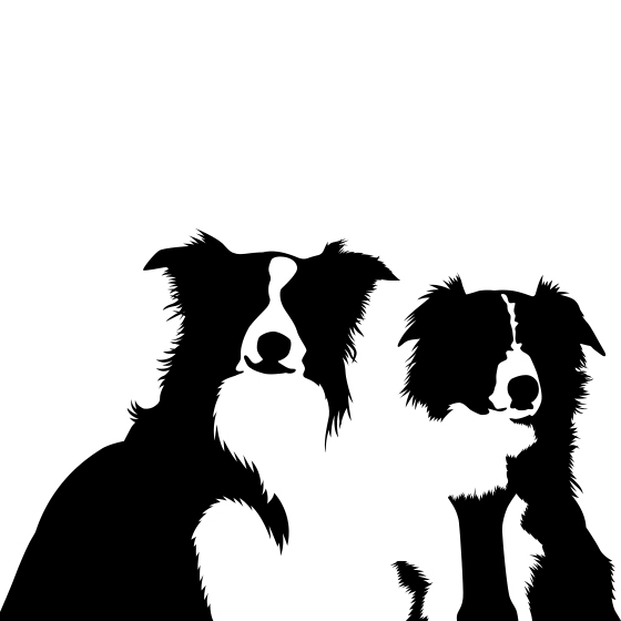 560x560 Free Vector Black And White Dog Illustration