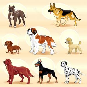 300x300 Puppy Dog Dog Animals Clip Art Dog Vector Hand Drawn