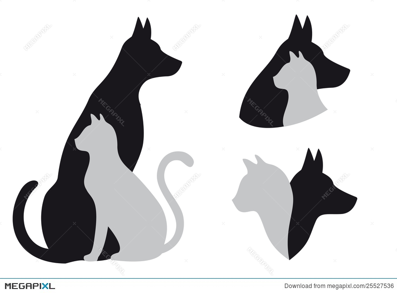 800x590 Cat And Dog, Vector Illustration