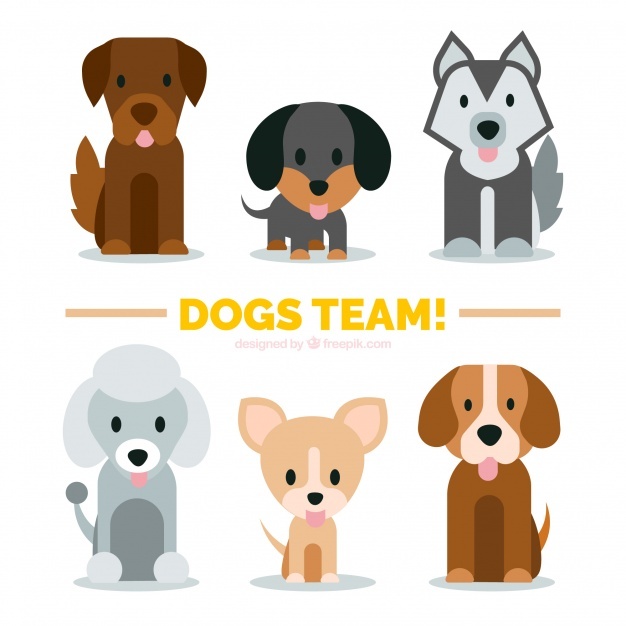 626x626 Dog Vectors, Photos And Free Download