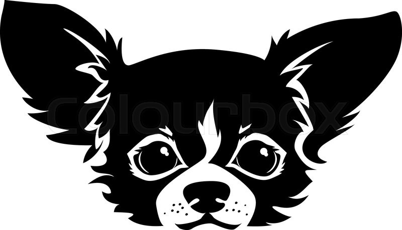800x459 The Head Of Chihuahua Dog Dog Vector Stock Vector Colourbox