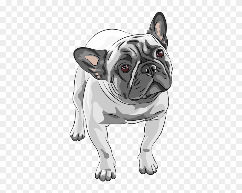 840x670 French Bulldog Watercolor Painting Drawing