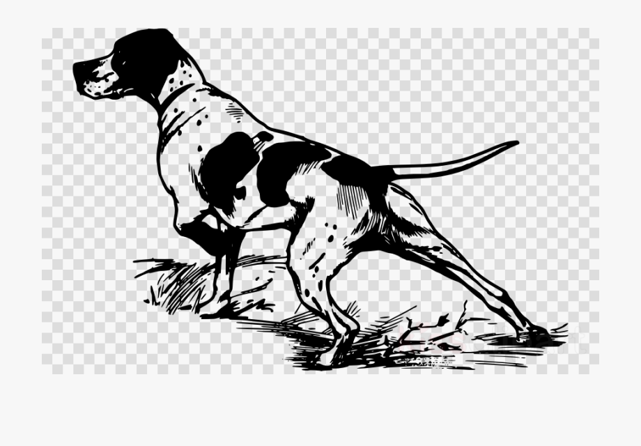 920x640 Hunting Dog Vector Clipart German Shorthaired Pointer