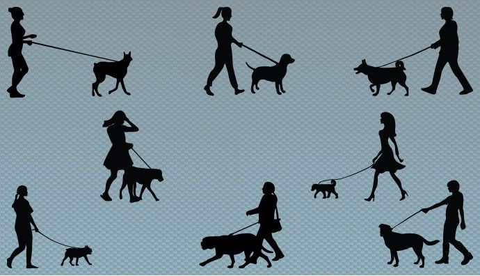 A Collection Of Women Dog Walkers Silhouette Dog Walkers This 690x396 A Collection Of Women Dog Walkers Silhouette Dog Walkers This