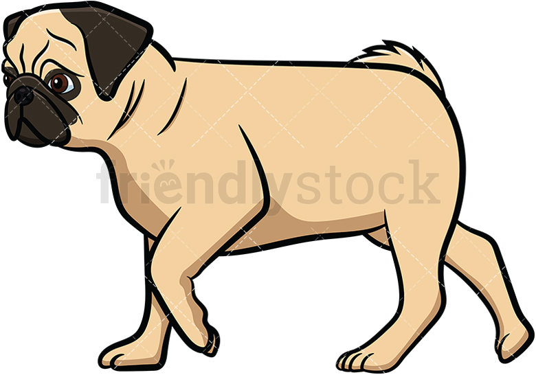 Dog Walking Apricot Pug And Vector Formats Infinitely 780x546 Dog Walking Apricot Pug And Vector Formats Infinitely