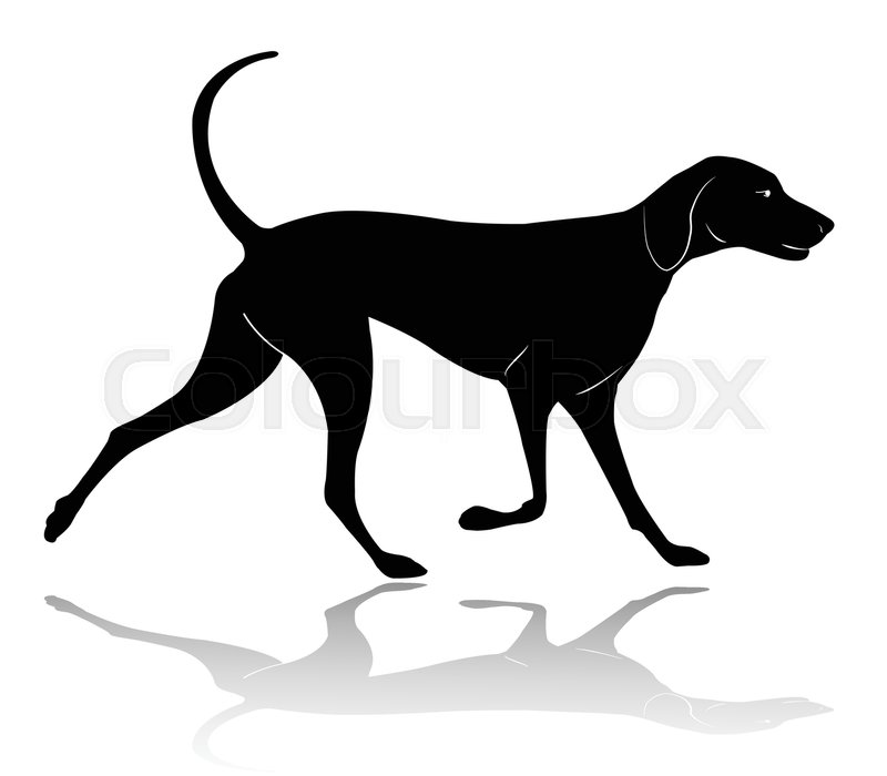 Hunting Dog Walking Silhouette 800x700 Hunting Dog Walking Silhouette