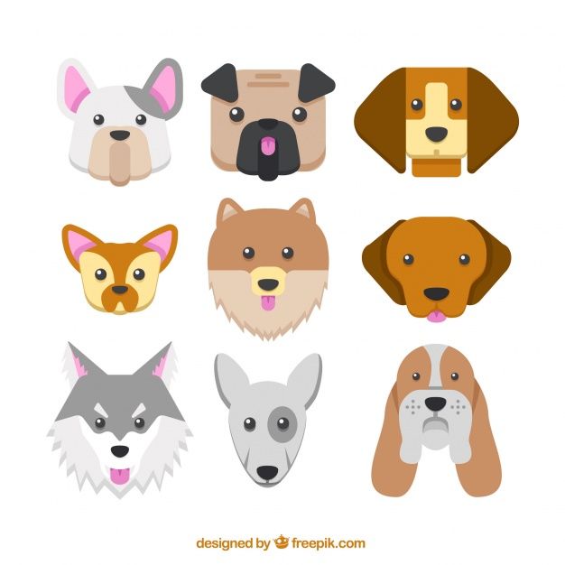 626x626 Collection Of Dog Breeds In Flat Design Free Vector