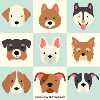 338x338 Lovely Dog Breeds Ilustracje In Dog Vector, Dog