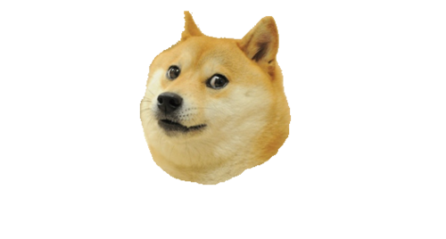 500x268 Doge Face Png Vector, Clipart