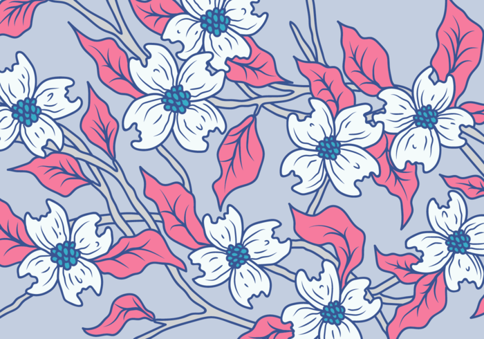 Dogwood Flower Vector 700x490 Dogwood Flower Vector