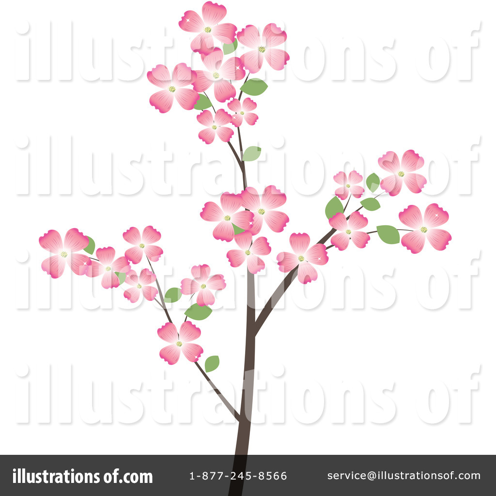 Dogwood Flowers Clipart 1024x1024 Dogwood Flowers Clipart