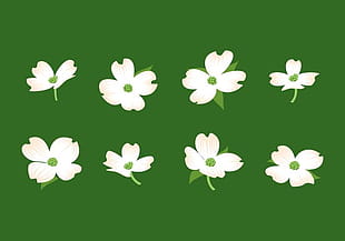 Hand Drawn Dogwood Flowers Vector Free Graphics 310x217 Hand Drawn Dogwood Flowers Vector Free Graphics