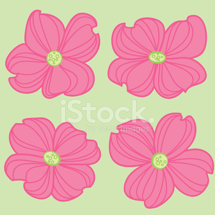 Pink Dogwood Flowers Stock Vector 440x440 Pink Dogwood Flowers Stock Vector