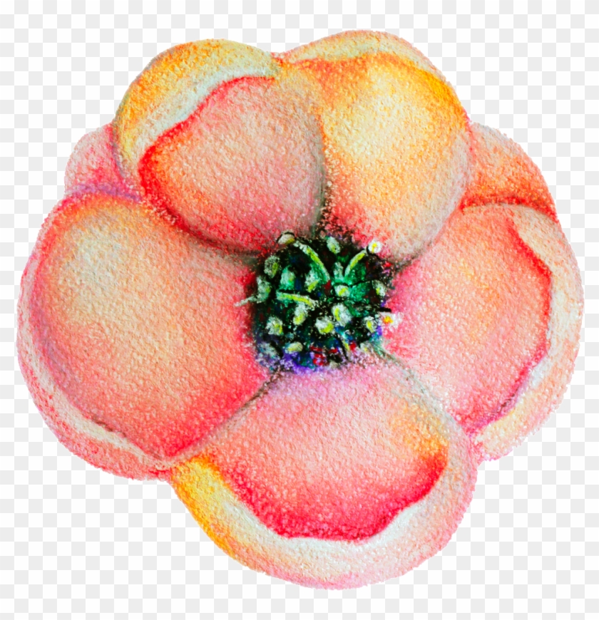 Spring Flower Bloom Decoration Vector 840x870 Spring Flower Bloom Decoration Vector