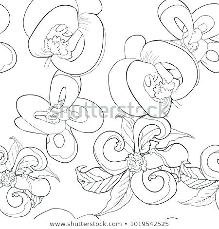 Free Vector Of Dogwood Flowers 450x470 Free Vector Of Dogwood Flowers