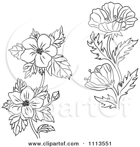Clipart Black And White Buttercup And Dogwood Flowers 450x470 Clipart Black And White Buttercup And Dogwood Flowers