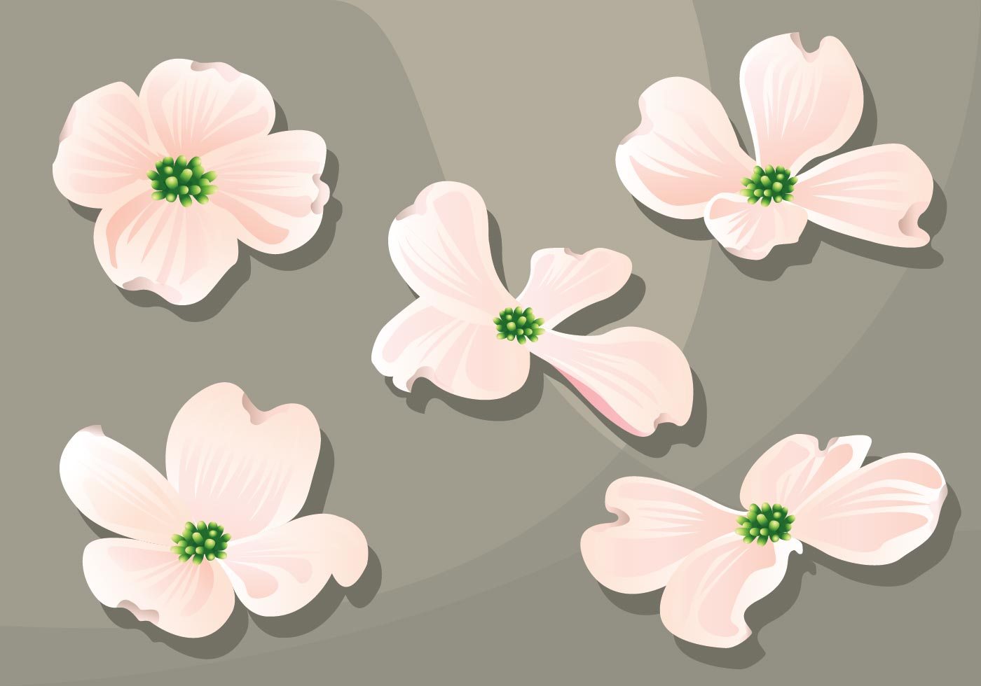 Dogwood Flower Line Art Gardening Flower And Vegetables 1400x980 Dogwood Flower Line Art Gardening Flower And Vegetables