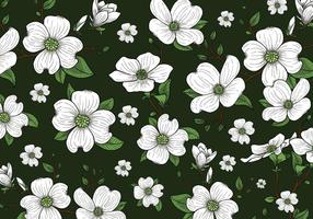 286x200 Dogwood Free Vector Art