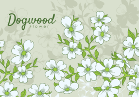 286x200 Dogwood Free Vector Art