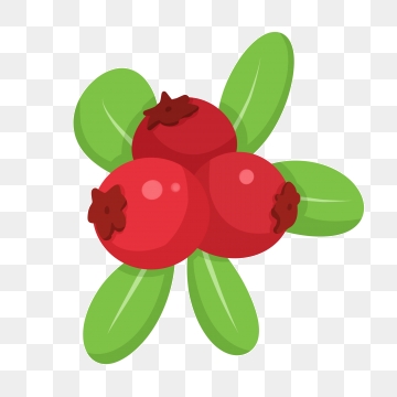 360x360 Dogwood Png Images Vector And Free Download