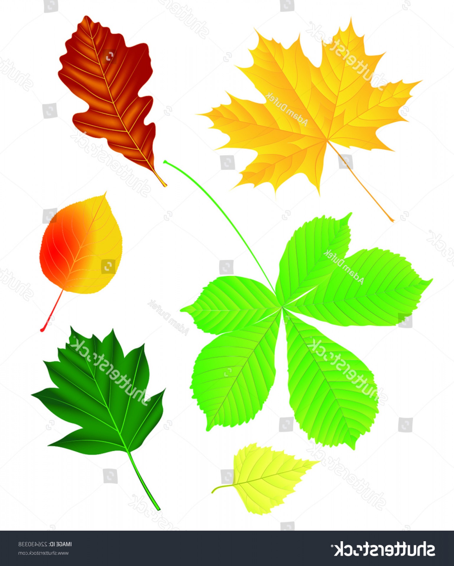 1540x1920 Dogwood Tree Vector Studiogrfx