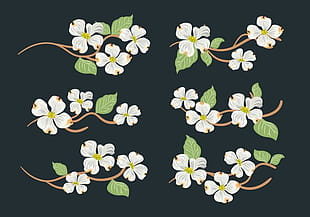310x217 Dogwood Vector Art Free Graphics Uihere