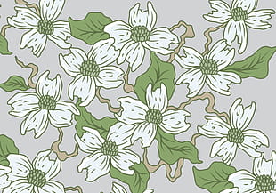 310x217 Hand Drawn Dogwood Flowers Vector Free Graphics