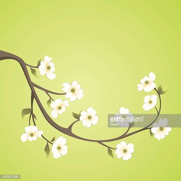 612x612 Dogwood Branch Vector Home Decor