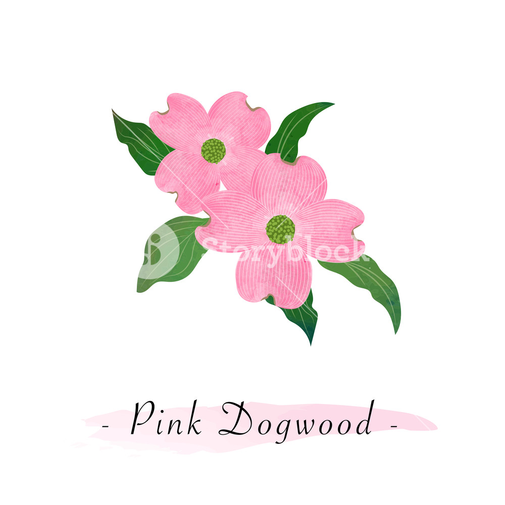 1000x1000 Colorful Watercolor Texture Vector Botanic Garden Flower Pink