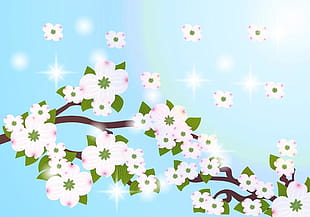 310x217 Dogwood Flower Background Vector Free Graphics