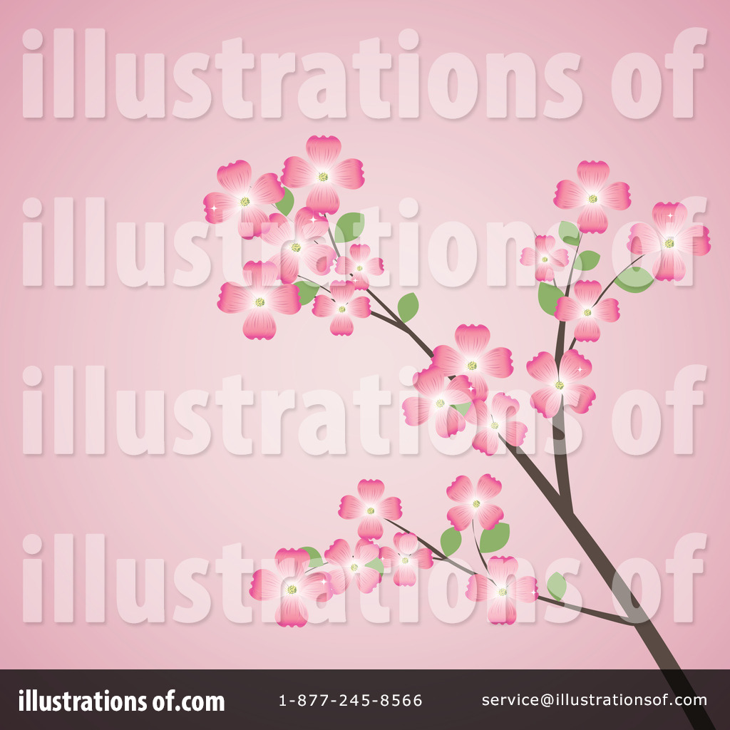 1024x1024 Dogwood Flowers Clipart