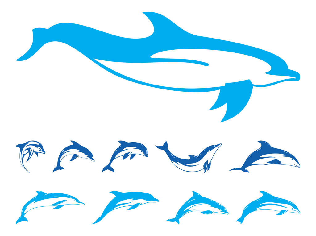 Dolphin Logo Vector