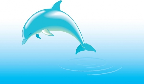 600x353 Dolphin Free Vector Download