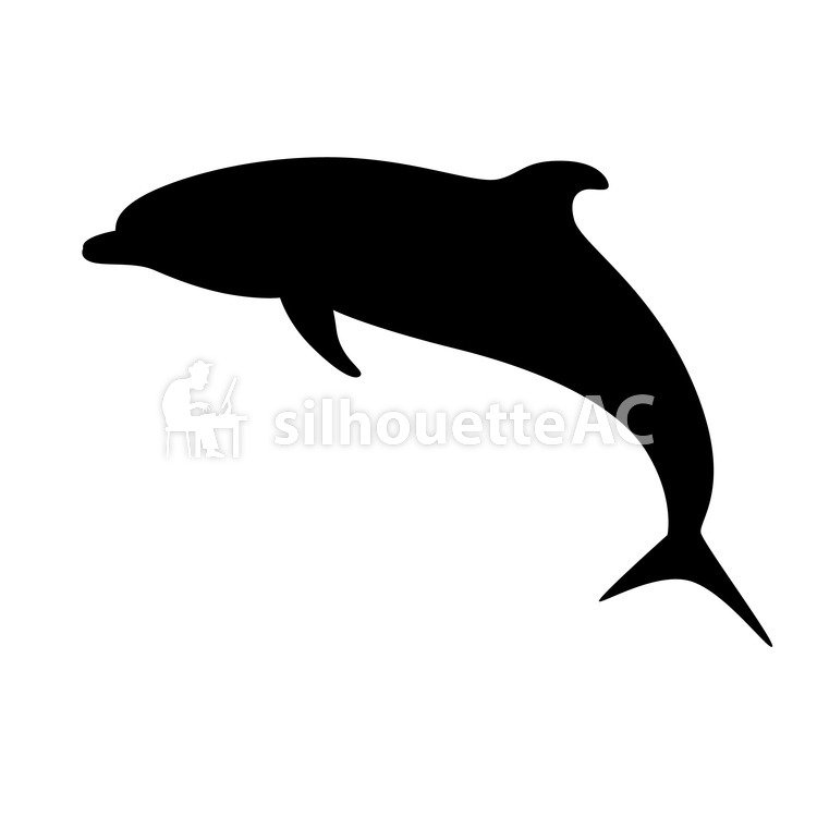 750x750 Free Silhouette Vector Dolphins Amusement