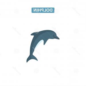 300x300 Outline Of Jumping Dolphin Vector Hoodamathrun