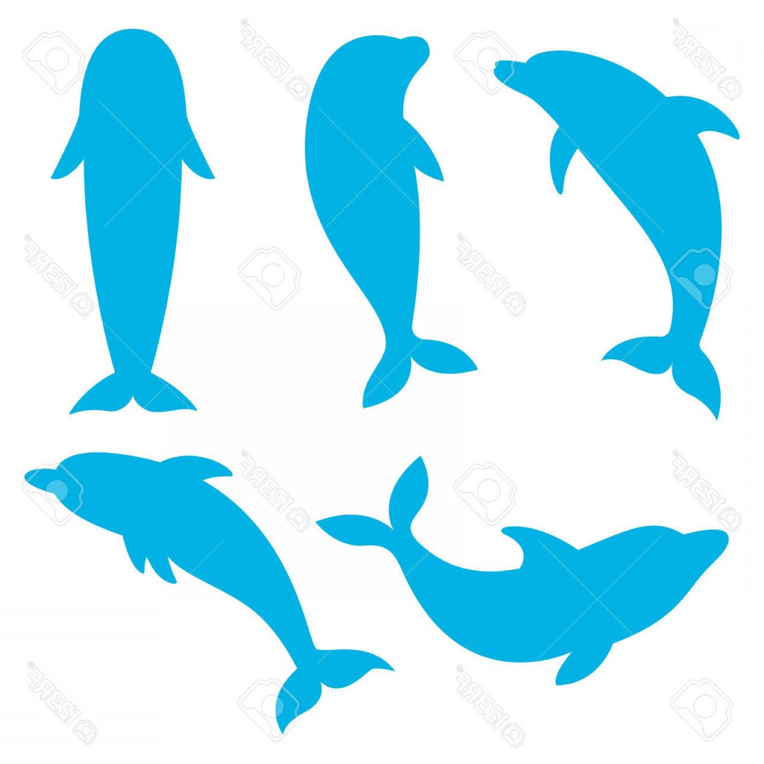 1560x1560 Photostock Vector Dolphin Silhouettes On The White Background