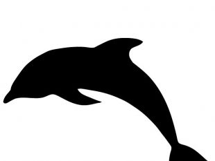 310x233 Dolphin Silhouette Vector Free Vectors Ui Download