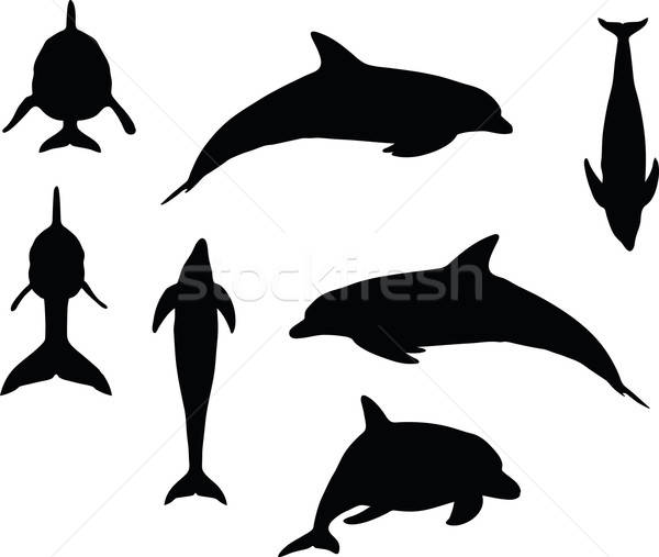 600x507 Dolphin Silhouette Vector Illustration Benguhan Ipekoz