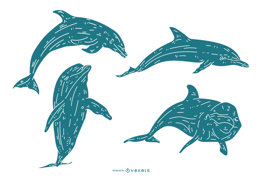 842x570 Detailed Dolphin Silhouette Set