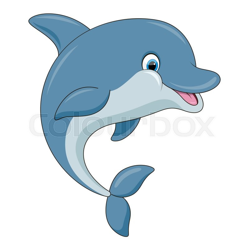 Dolphin Vector