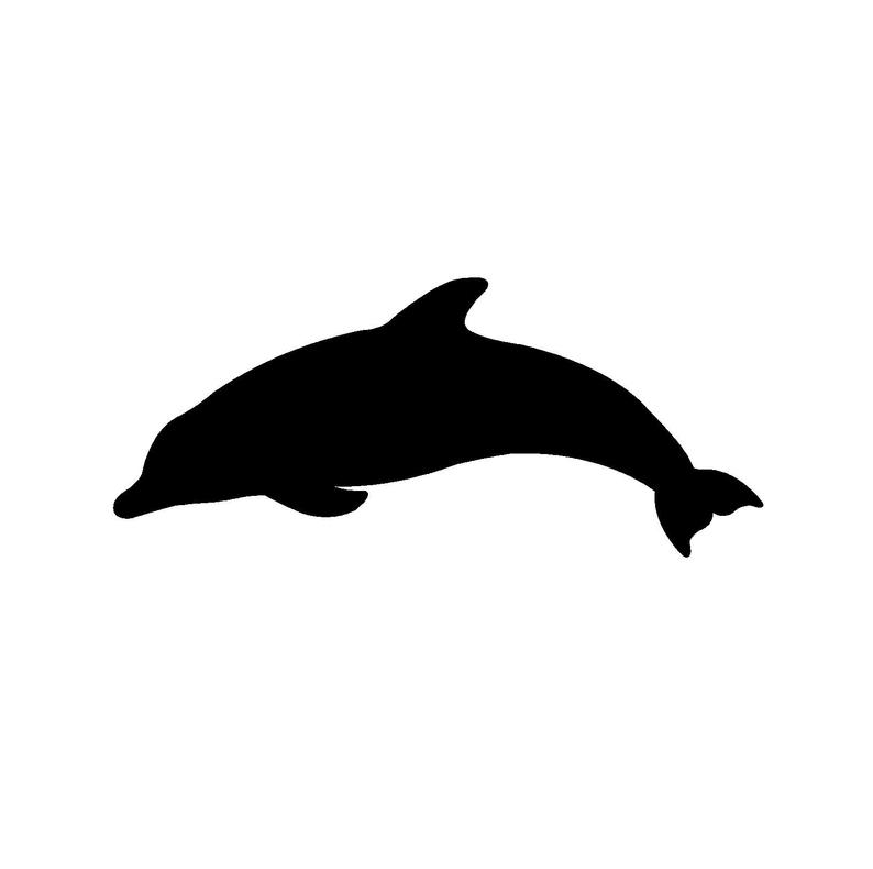 794x790 Dolphin Vector Graphic Instant Digital Download For Etsy