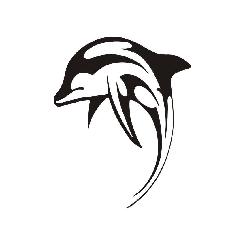 850x850 Dolphin Vectors Vectors, Corel Files