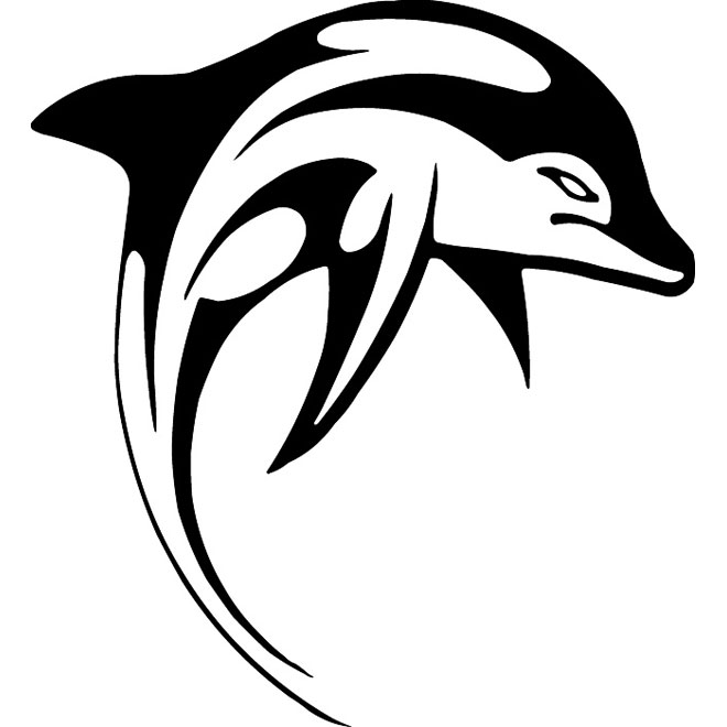 660x660 Dolphin Vector Image