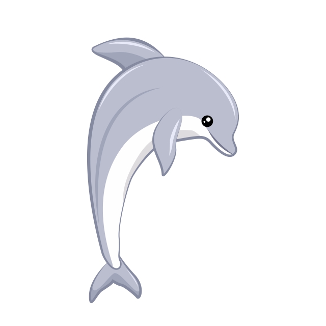 640x640 Vector Design Of Tender Dolphin, Dolphin, Vector, Illustration Png