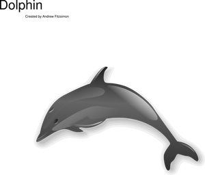 Dolphin Vector Art