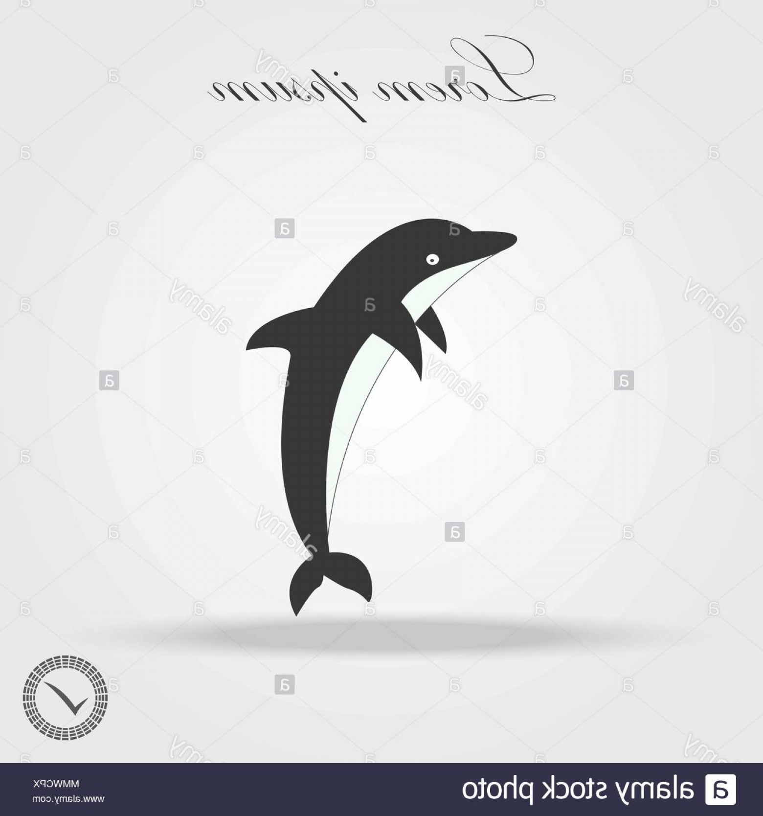 1560x1668 Dolphin Vector Art Lamaison