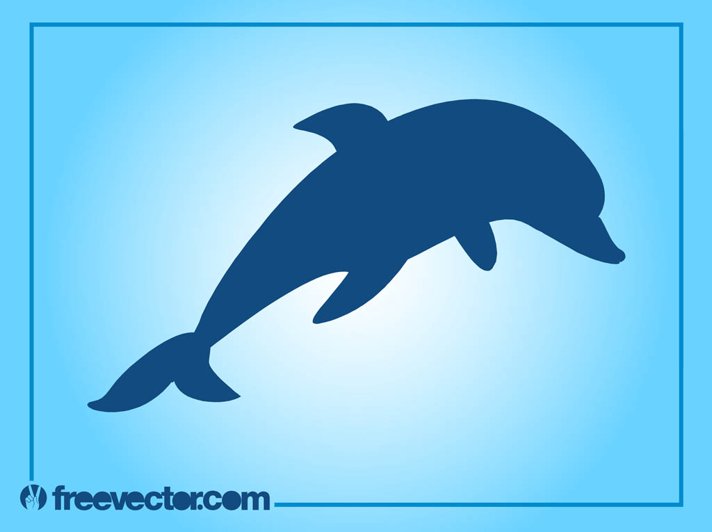 1024x765 Dolphin Vector Vector Art Graphics