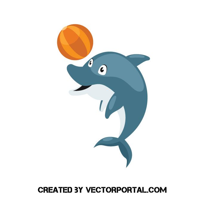 660x660 Dolphin With A Ball Vector Graphic Animal Vectors Free Vector